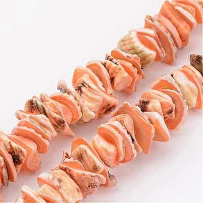 Natural Shell Bead Strands BSHE-P010-09-1