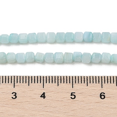 Natural Freshwater Shell Dyed Beads Strands SHEL-R100-11A-03-1
