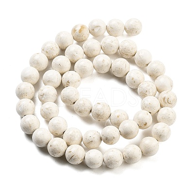 Natural Fossil Beads Strands G-H026-02D-1