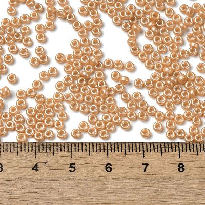 Baking Paint Glass Seed Beads SEED-P006-03A-24-1