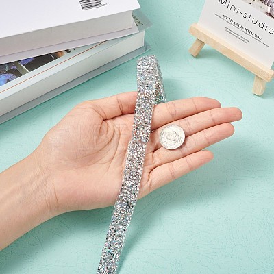 Glitter Resin Hotfix Rhinestone(Hot Melt Adhesive On The Back) OCOR-TAC0004-B-01-1