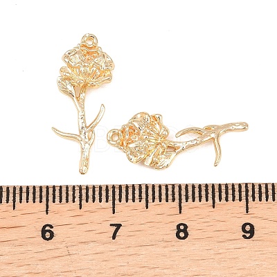 Brass Pendants KK-A288-01G-09-1