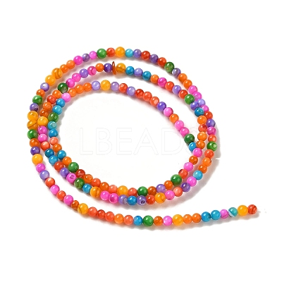 Ice Cream Color Dyed Natural Freshwater Shell Beads Strands SHEL-G018-01D-1