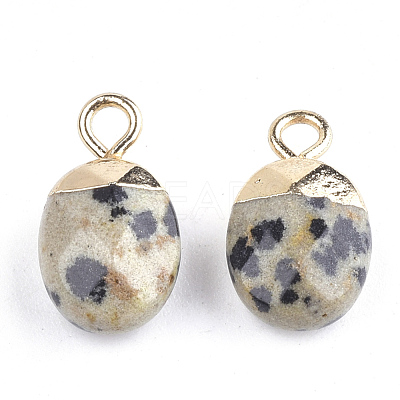Electroplate Natural Dalmatian Jasper Charms X-G-S344-09C-1