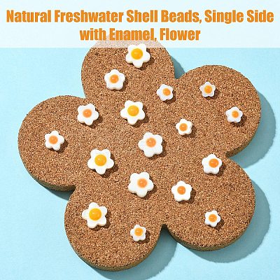 Natural Freshwater Shell Beads SHEL-YW0001-04A-1
