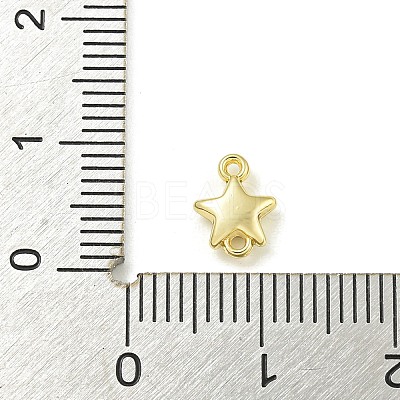 Alloy Connector Charms PALLOY-F310-01G-02-1