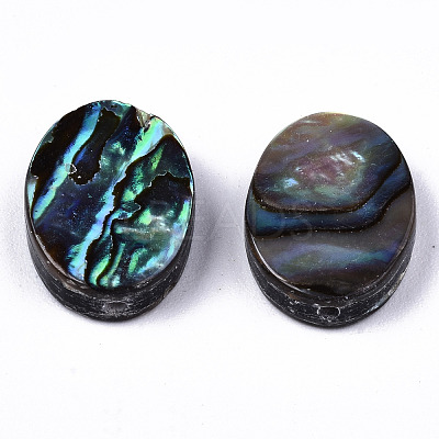 Natural Abalone Shell/Paua Shell Beads SSHEL-T014-09-1