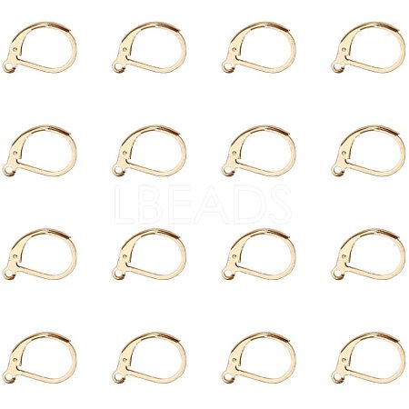 304 Stainless Steel Leverback Earring Findings STAS-PH0018-28G-1