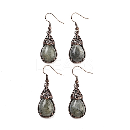 Natural Labradorite Teardrop Dangle Earrings EJEW-B055-01R-22-1