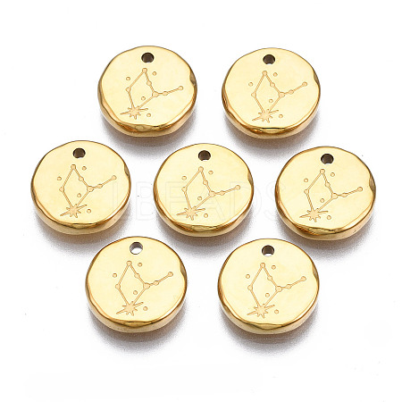 316 Surgical Stainless Steel Charms STAS-S116-418D-G-1