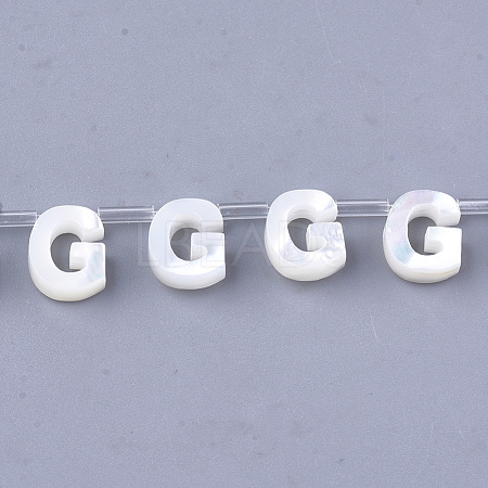 Sea Shell Beads X-SHEL-T012-60G-1