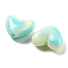 Imitation Gemstone Acrylic Beads OACR-U005-07F-2