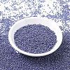 MIYUKI Round Rocailles Beads SEED-G007-RR0434-3