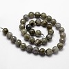 Natural Labradorite Beads Strands G-G736-04-10mm-2