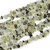 Prehnite Chip Bead Strands G-M205-11-1