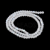 Transparent Glass Beads Strands LS-EGLA-A044-T4mm-MB19-4