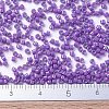 MIYUKI Delica Beads SEED-X0054-DB0660-4
