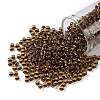 TOHO Round Seed Beads X-SEED-TR08-2152S-1