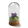 Natural Amethyst Polygon Display Decoration with Glass Dome Cloche Cover DJEW-B009-05I-1