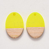 Resin & Wood Pendants RESI-S384-007A-2