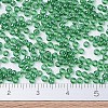 MIYUKI Round Rocailles Beads SEED-G007-RR0173-3