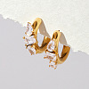 304 Stainless Steel Pave Clear Cubic Zirconia Stud Earrings WGE1729-01-2