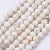 Natural Magnesite Bead Strands X-G-P286-10-3mm-1
