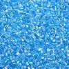 Glass Bugle Beads SEED-S032-10A-163-3