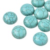 Craft Findings Dyed Synthetic Turquoise Flat Back Dome Cabochons X-TURQ-S266-14mm-01-3