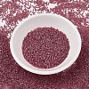 MIYUKI Delica Beads SEED-MY11-DB1746-1