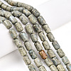 Natural Variscite Beads Strands G-N346-01B-14-1