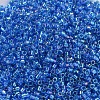 MIYUKI Delica Beads X-SEED-J020-DB0177-3