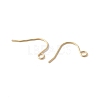 316 Surgical Stainless Steel Earring Hooks STAS-Z124-02C-G-2