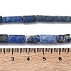 Natural Lapis Lazuli Beads Strands G-L650-L01-01-5