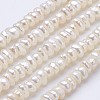 Natural Cultured Freshwater Pearl Beads Strands PEAR-F004-64-01-1