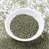 MIYUKI Delica Beads SEED-X0054-DB2163-2