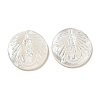 Carved Natural White Shell Cabochons SSHEL-N038-06B-01-1
