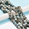 Natural Tree Agate Beads Strands G-C038-02O-2