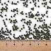 TOHO Round Seed Beads SEED-TR11-0617-4