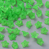 Transparent Acrylic Beads PL554-13-1