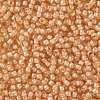 TOHO 8/0 Round Beads X-SEED-TR08-0955-2