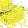Baking Paint Glass Seed Beads SEED-H002-I-B501-1