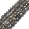 Natural Grey Moonstone Beads Strands G-K245-A05-02-1