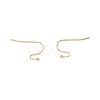 316 Surgical Stainless Steel Earring Hooks X-STAS-P307-07G-3