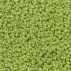 MIYUKI Round Rocailles Beads SEED-X0056-RR0439-3