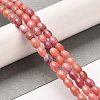 Natural Dolomite Beads Strands G-F765-A05-01-2