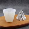 Iceberg Food Grade Silicone Molds DIY-OC0003-21-7