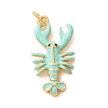 Brass with Enamel Pendants KK-CBA2F11-08B-G04-1
