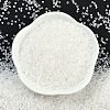 Opaque Colours Luster Glass Seed Beads SEED-H003-12I-3