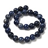 Round Natural Sodalite Beads Strands G-F222-39-14mm-4